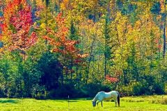 cropped-IMG_0429
