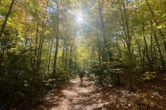 IMG_6091
